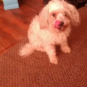 Meet your Posher, Roberto